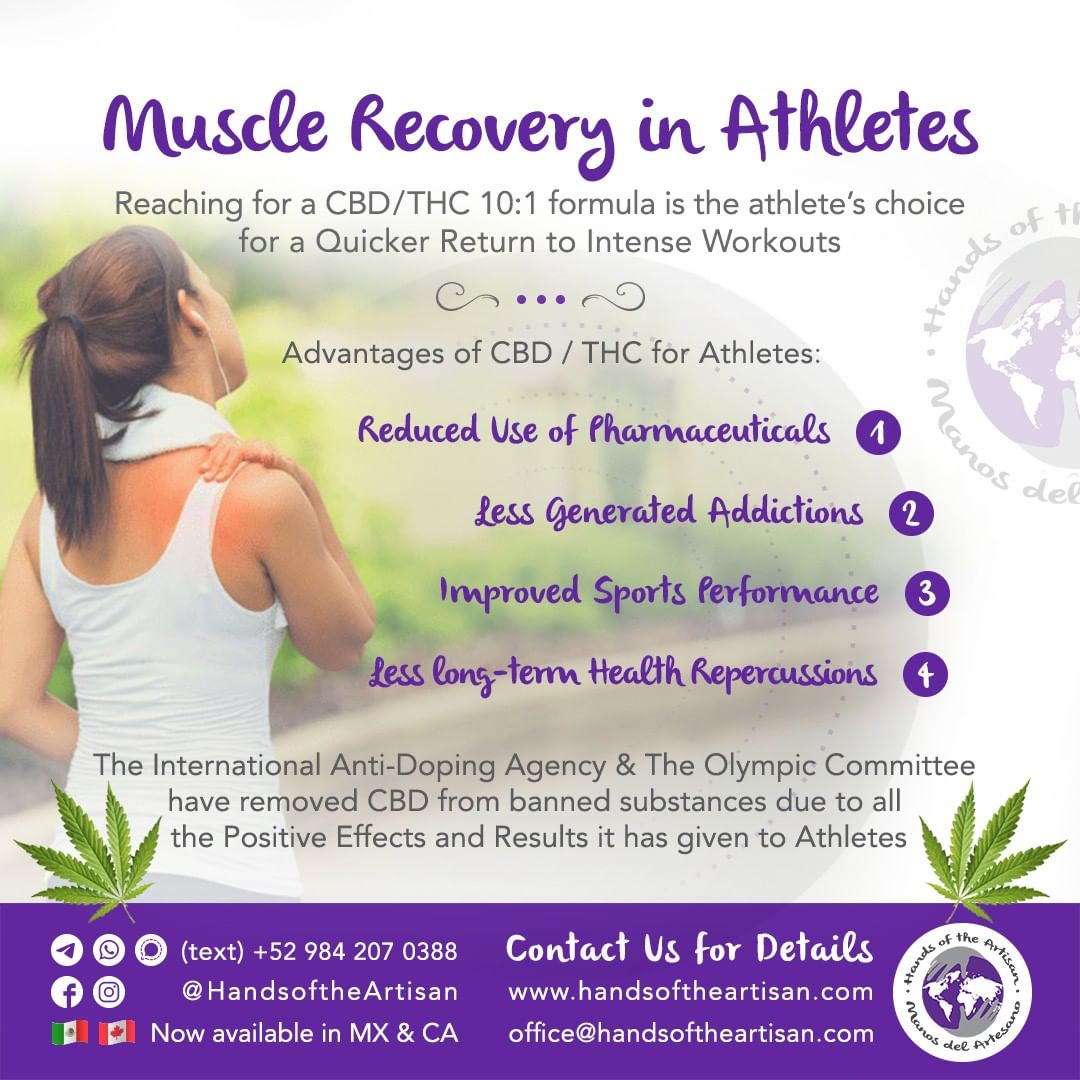 Muscle Recovery in Athletes