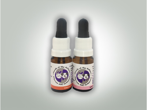 10:1 CBD Oil 10 ml Day/Night Pet Pack