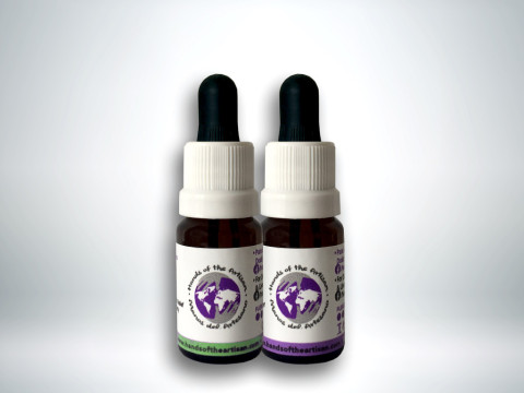 1:1 CBD Oil 10 ml Day/Night Pack