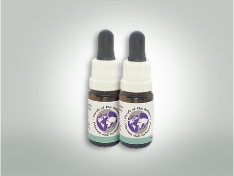 Sativa 10:1 CBD Oil 10 ml Double Pack