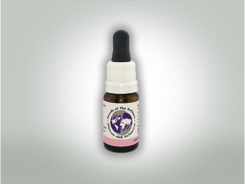 Indica 10:1 CBD Oil 10 ml