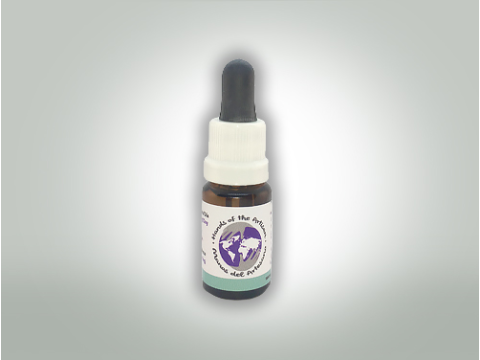 Sativa 10:1 CBD Oil 10 ml