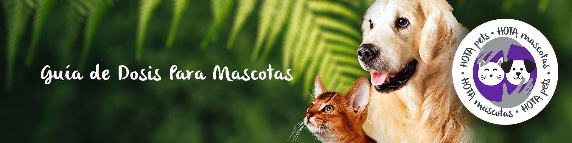 Guía de Dosificación para Mascotas