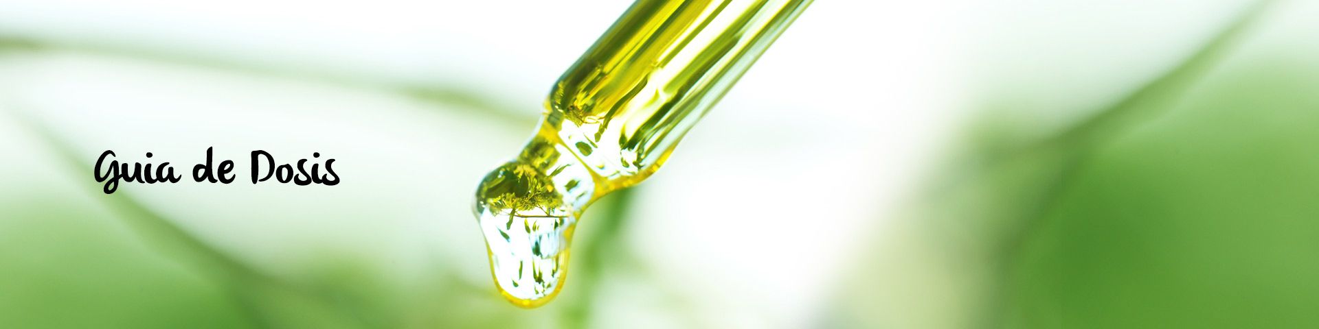 Guía de Dosis de CBD
