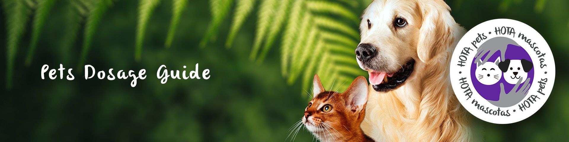 CBD Oil Pets Dosage Guide